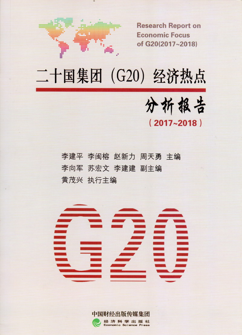 网站小骚逼啊啊啊二十国集团（G20）经济热点分析报告（2017-2018）